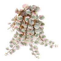 Guirlande artificielle de cœurs suspendus avec feuilles de cœurs variées pour décoration murale bohème
