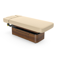 Table de massage électrique Lynn-Heaven de type basique avec mécanisme manuel/amortisseurs à gaz et accoudoir avant réglable