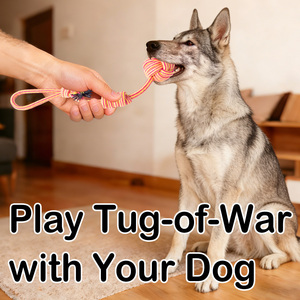 Juguetes Masticables Ecológicos para Perros OEM/ODM, Juguetes de Cuerda No Tóxicos para Mascotas, para Proteger los Muebles y Limpiar los Dientes - Product Image 6