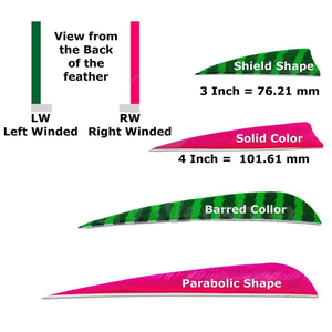 Trái Phải cánh Parabol lá chắn rắn barred bắn cung mũi tên Thổ Nhĩ Kỳ tự nhiên bắn cung lông fletching 3inch 4inch - Product Image 2