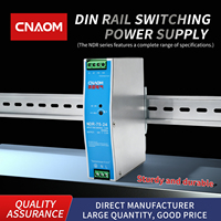 Alimentation à découpage sur rail DIN NDR-75-24 100-240V AC/DC 5V 12V 24V 48V LED 10A 50Hz double/simple pour usage industriel
