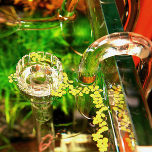 Aquarium Glass Lily Pipe Skimmer <strong>for</strong> Glass Outflow &amp; Inflow Lily Water Pipe <strong>for</strong> Aquarium Plant tank - Product Image 5