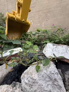 Mini-pelleuse Komatsu PC20 d'origine japonaise de haute qualité - Product Image 5