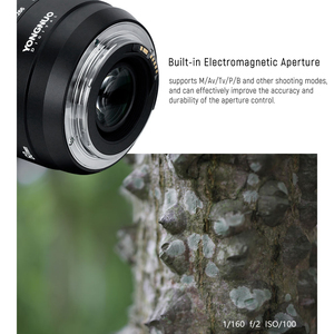 YONGNUO — objectif Macro yn 60mm F2 MF pour appareil photo réflex DSLR, compatible avec les modèles 700D, 70D, 650D, <span class=keywords><strong>750D</strong></span>, 1200D, 6D, mark II, 5D, mark II, Canon - Product Image 6