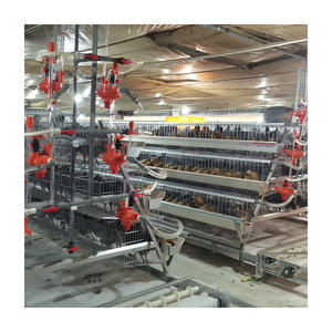 Otomatik 48/160 ile katmanlı tavuk kafesleri kuş <span class=keywords><strong>4</strong></span> katlı yüksek kaliteli katman a tipi yemleme ekipmanları - Product Image 6