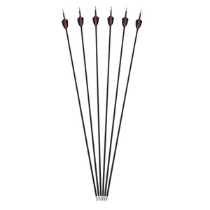 Carbon Fiber Arrows 6-Pack 1000-Weight Competition Arrows With 2-Inch Real Feathers For <b>Shooting</b> - Product Image 1
