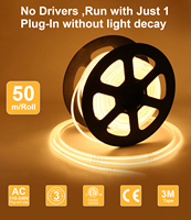 ETL nouvelle bande Cob LED haute tension CE RoHS 10m 50m 100m IP67 étanche Flexible 110V 220V COB bande LED