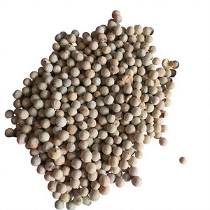 พริกไทยขาวเม็ดกลมแห้งสำหรับปรุงอาหารและปรุงรส WA +966 659 976 - เอเลนา - Product Image 1