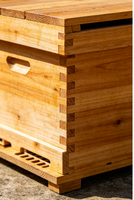 Colmena Plana de 10 Cuadros Estilo Chino, Madera Maciza, Colmena de Apicultura con Cera de Abeja