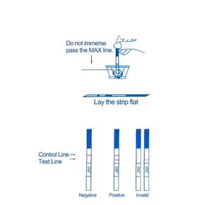 Bandelette de <span class=keywords><strong>test</strong></span> de grossesse, kit de <span class=keywords><strong>test</strong></span> de grossesse, bandelette de <span class=keywords><strong>test</strong></span> de grossesse précoce, bandelette de <span class=keywords><strong>test</strong></span> d'<span class=keywords><strong>ovulation</strong></span>, grossesse - Product Image 6