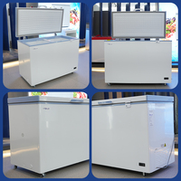 Congélateur Coffre Vitré Type 200 Litres, Congélateur Coffre 100 Litres 150 Litres, Réfrigérateur Congélateur Professionnel pour Supermarché