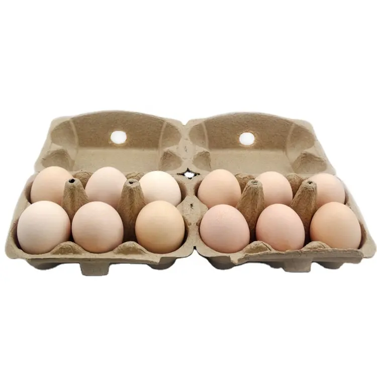 Eco-friendly pulp paper hot press egg tray from paper double egg tray factory