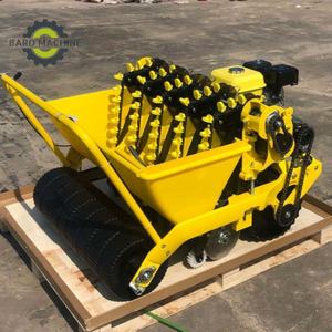 Nouvelle machine agricole <span class=keywords><strong>de</strong></span> précision, équipement à moteur essence, machine à planter l'ail - Product Image 2