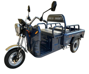 Triciclo Agrícola de 3 Ruedas de Alta Potencia, Nuevo, con Capacidad de Carga de 200-300 kg y Autonomía de 50-70 km - Product Image 2