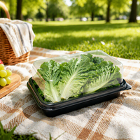 Boîte à fruits rectangulaire transparente personnalisée, conteneur alimentaire, emballage en plastique PET de qualité alimentaire recyclable pour hamburgers et sushis