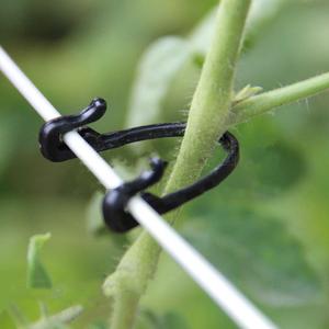 Clips de greffage de légumes pour plantes, 5 pièces, crochet à boucle nouée, fournitures agricoles pour serre, en Stock - Product Image 1