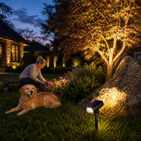 Projecteur solaire LED blanc chaud extérieur étanche avec capteur de contrôle, rechargeable et portable pour jardin, cour, arbre, conforme RoHS