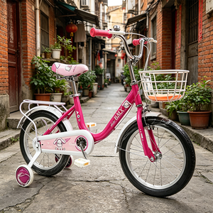 Vélo pour filles avec panier en métal, couleurs populaires, prix bas, vente directe d'usine en Chine, pour les filles de 3 à 12 ans - Product Image 3