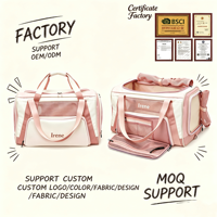 Sac de transport pliable et respirant multifonction pour petits chiens et chats, idéal pour les voyages en avion et les sorties – OEM/ODM