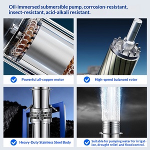 Pompe submersible immergée en acier inoxydable 380V, haute pression, pour l'irrigation des terres agricoles, grand débit, triphasée, eau douce - Product Image 3