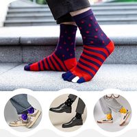 Chaussettes décontractées pour hommes en coton biologique peigné à cinq doigts, vente en gros pour fabricants, antibactériennes, confortables pour l'automne