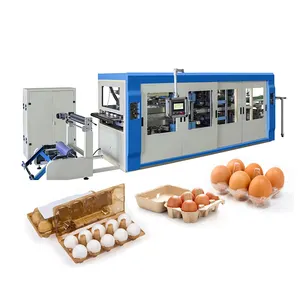 Máquina formadora de bandejas de plástico para huevos, máquina termoformadora de plástico de hoja gruesa