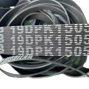 Cinghie di trasmissione PK-fasatura per impastatrice 1200-8M-22PK - Product Image 4