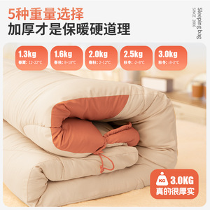 Mummy Sleeping Bag 3 Season Polyester Breathable Envelope Style For Adults Outdoor Camping Travel Use - Product Image 5