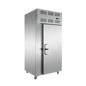IQF冷冻隧道低深冷冻机商用工业立式鼓风冷却器和防震冷冻机