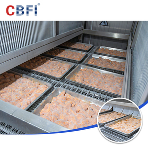 Seafood Automatic Quick Freezing Equipment Tunnel Type Machine for Small Yellow <strong>Croaker</strong> Cod Sea Cucumber Locks Freshness - Product Image 5