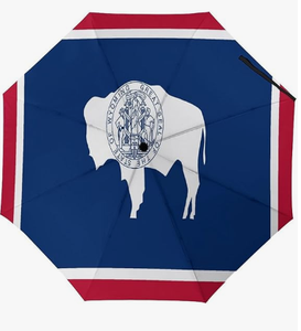 Parapluie compact avec drapeau de la Virginie occidentale, résistant au vent, de haute qualité, parapluie de voyage, ouverture et fermeture automatiques, grands parapluies pour la pluie - Product Image 4