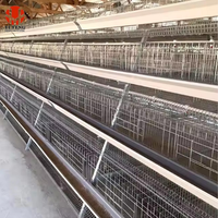 Cage à poules automatique de type A personnalisable, conception modulaire galvanisée, capacité de 1000 à 5000 poulets, en vente