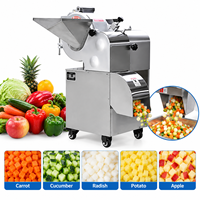 Volledig automatische, voedselveilige roestvrijstalen snijmachine voor restaurants, hoge efficiëntie, voor fruit, groenten en wortelgewassen.