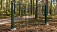Panneau de clôture en treillis soudé 3D en acier galvanisé, revêtement PVC, double fil, anti-escalade, pour élevages de bétail et protection contre les cerfs