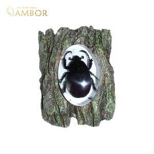 Aimant de réfrigérateur en résine à texture bois simulée, décoratif en forme de scarabée, fait main, cadeau sur le thème de la nature pour les passionnés d'insectes - Product Image 2