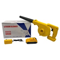 Batterie compatible d'origine - Sèche-cheveux électrique au lithium, aspirateur sans fil pour ordinateur, souffleur dépoussiérant en plastique