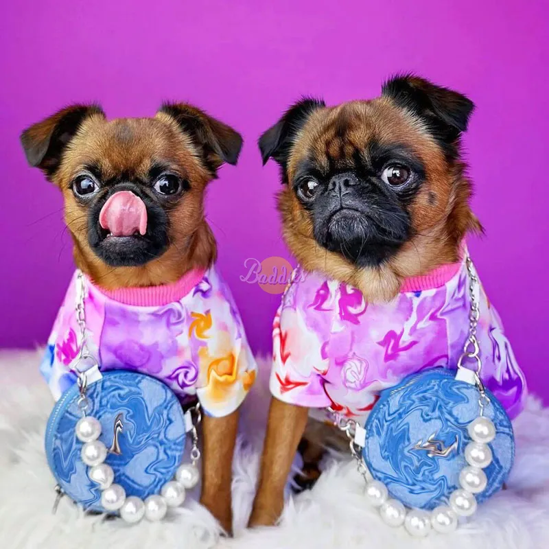 Suéter de diseño de lujo para perro y mascota, accesorios cómodos y elegantes para cachorro, ropa para perro, venta al por mayor