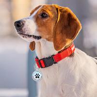 Ustom-collar de epoxi programable NFC para mascotas, etiqueta para mascotas con código QR para perros y gatos