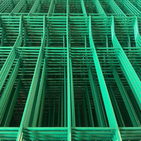Ecologisch verantwoorde 3D gebogen tuinmat met roestwerende eigenschappen, loodvrije poedercoating, niet-toxisch, duurzaam, beveiligingshekwerk voor gemeenschappen