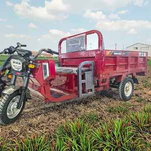 Trike elektrik performa tinggi dapat disesuaikan pilihan Dumper/Loader/Transport Bodi terbuka 400kg + muatan maksimum 50km/jam> 1000W - Product Image 1