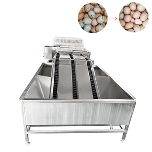 Machine à laver les œufs à haut rendement énergétique Équipements de transformation des aliments et de restauration pour la production de poudre d'œufs pour les industries agricoles - Product Image 1