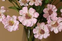 3 Têtes Roue Vent Chrysanthème naturel Simulation Fleur DIY mariage Arrangement Floral Décor Fleur Artificielle