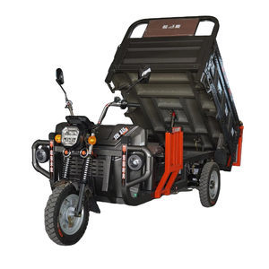 Triciclo Eléctrico de <span class=keywords><strong>3</strong></span> <span class=keywords><strong>Ruedas</strong></span>, Motocicleta Eléctrica de <span class=keywords><strong>3</strong></span> <span class=keywords><strong>Ruedas</strong></span> con Protección de Calidad, Camión de Carga para Transporte y Entrega en Zonas Rurales o Urbanas - Product Image 1