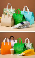 Bolsa Térmica Plegable, Impermeable y Reutilizable para el Almuerzo, con Asa y Estampado de Letras, para Niños, Viajes, Picnic al Aire Libre