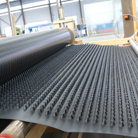 Planche de drainage en HDPE - Sous-couche haute résistance, résistante aux UV et à l'eau, écologique, garantie 5 ans et plus pour toits végétalisés et aménagements paysagers