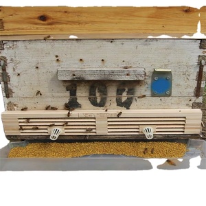 Polvo de Polen de Abeja 100% Puro de Alta Calidad, 26% de Proteína, Sin Aditivos, Caja de 20 kg, Vida Útil de 2 Años - Product Image 1