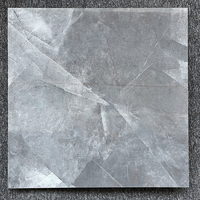 Carreaux de Sol en Grès Cérame pour Maison, Salon 60x60