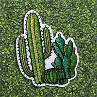 Patchs Cactus Broderie Personnalisée pour Chapeaux Style Fer À Repasser Tissu Écologique avec Perles Décoration Toile Matériel