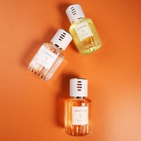 Offre Spéciale Portable voiture diffuseur liquide parfum désodorisant pour Reed diffuseur ensembles vente chaude pour l'intérieur de la voiture