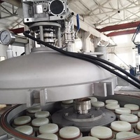 Filter Backwash Multi-core Mikron Baja Karbon Stainless Steel untuk Cat Otomotif, Cat Elektrostatik, Cat Lateks, Cat Kapal